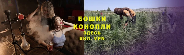 трава Алзамай