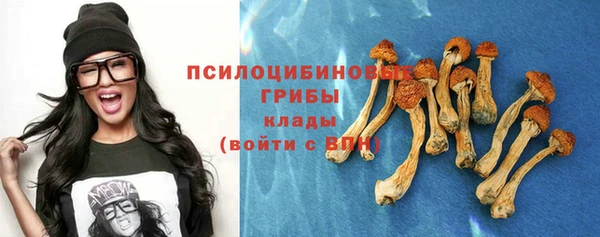 эйфоретик Нязепетровск