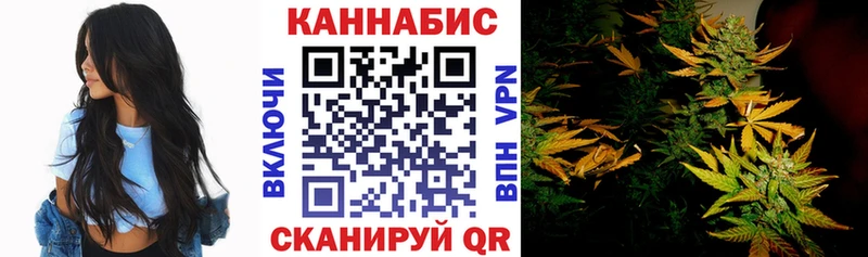 Каннабис планчик  Ясный 